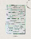 Peelings optimism.webp